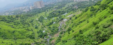 आकुर्ली 