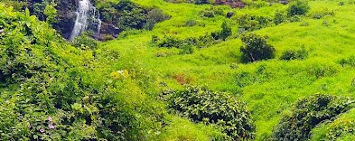 आकुर्ली